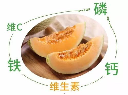 免费吃哈密瓜,夏日甜蜜福利来袭! 第1张 免费吃哈密瓜,夏日甜蜜福利来袭! 第1张